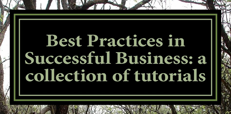 New Book Launch: Best Practices in Successful Business